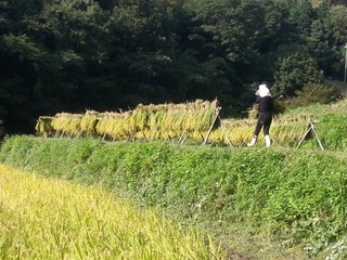 画像 040.jpg