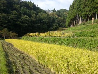 画像 041.jpg