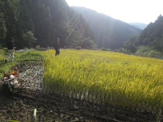 画像 049.jpg