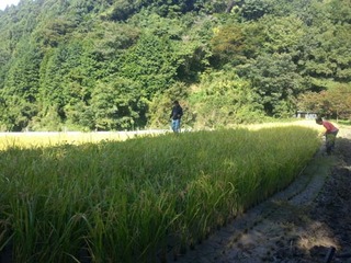 画像 065.jpg