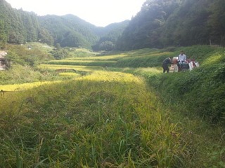 画像 070.jpg