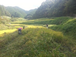 画像 071.jpg