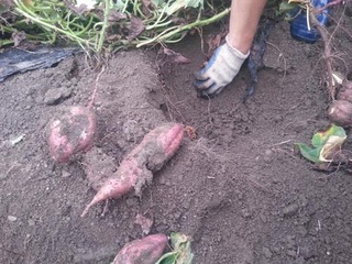 画像 081.jpg