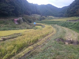 画像 089.jpg