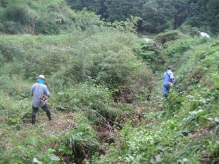 IMG_1971-2.jpg