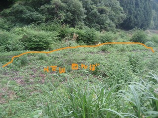 IMG_1972-2.jpg