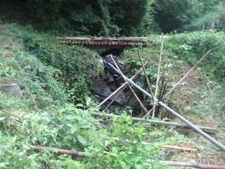IMG_1982-2.jpg
