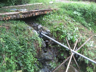 IMG_1983-2.jpg