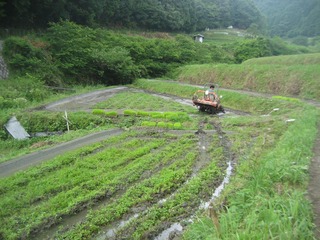 IMG_2002-2jpg.jpg