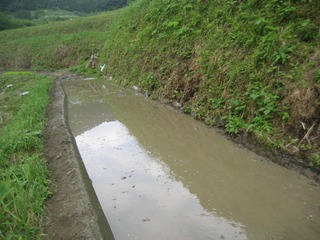 IMG_2003-2.jpg