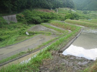 IMG_2006-2.jpg