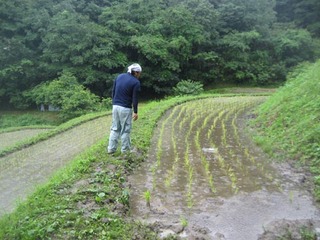 IMG_2013-2.jpg