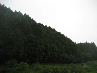 IMG_2015-2.jpg