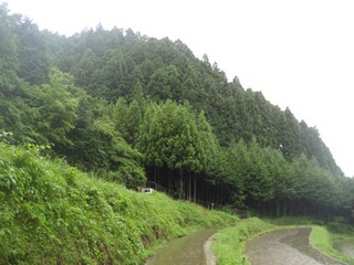 IMG_2016-2.jpg