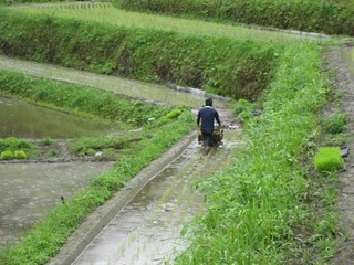 IMG_2026-2.jpg