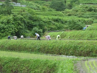 IMG_2027-2.jpg