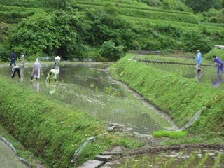 IMG_2028-2.jpg